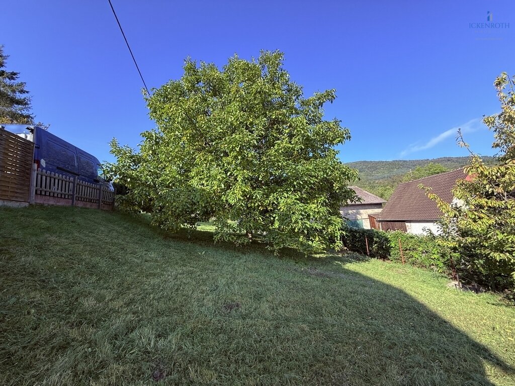 **Modernes Einfamilienhaus mit Ausbaufläche, gr. Scheune, Gartengrundstück + idyllischer Wiesenfläche! Tolle Kombination!**