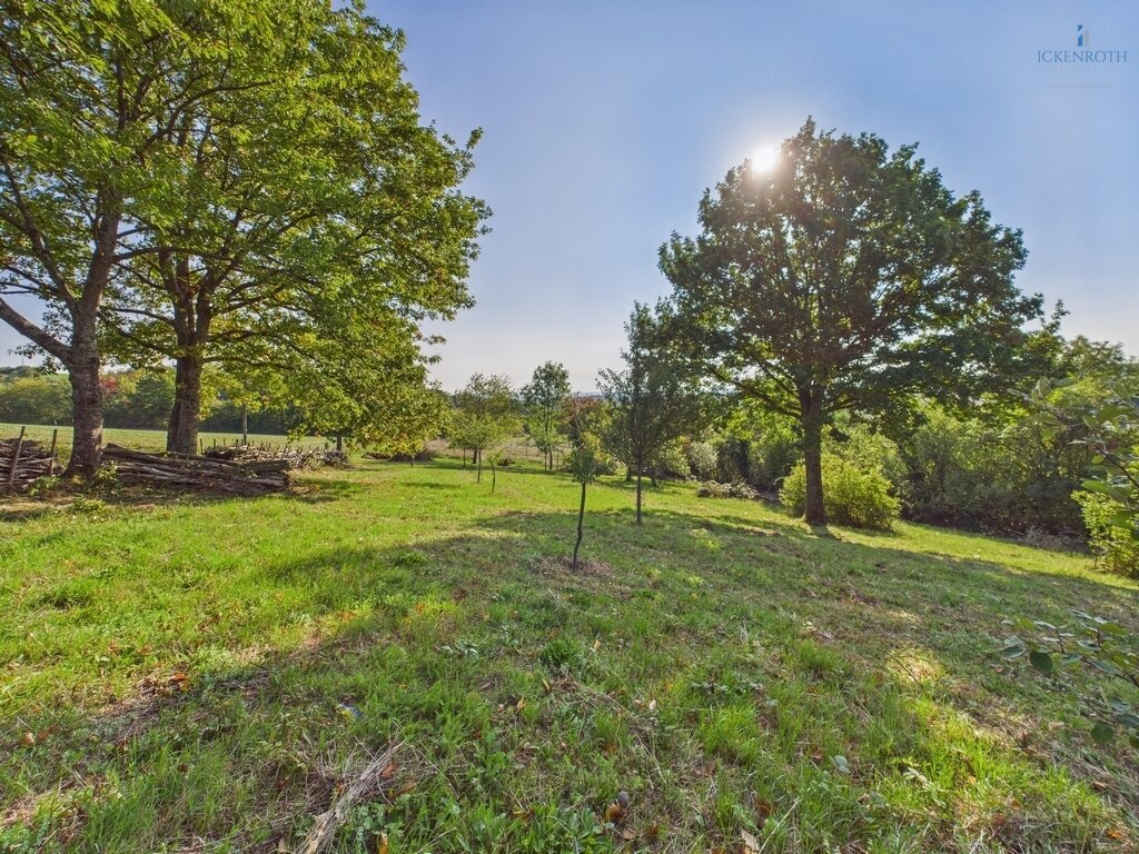 **Modernes Einfamilienhaus mit Ausbaufläche, gr. Scheune, Gartengrundstück + idyllischer Wiesenfläche! Tolle Kombination!**