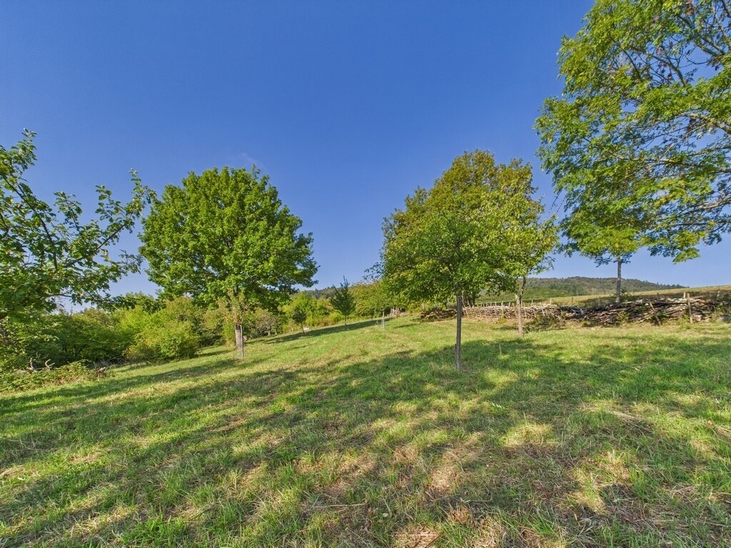 **Modernes Einfamilienhaus mit Ausbaufläche, gr. Scheune, Gartengrundstück + idyllischer Wiesenfläche! Tolle Kombination!**