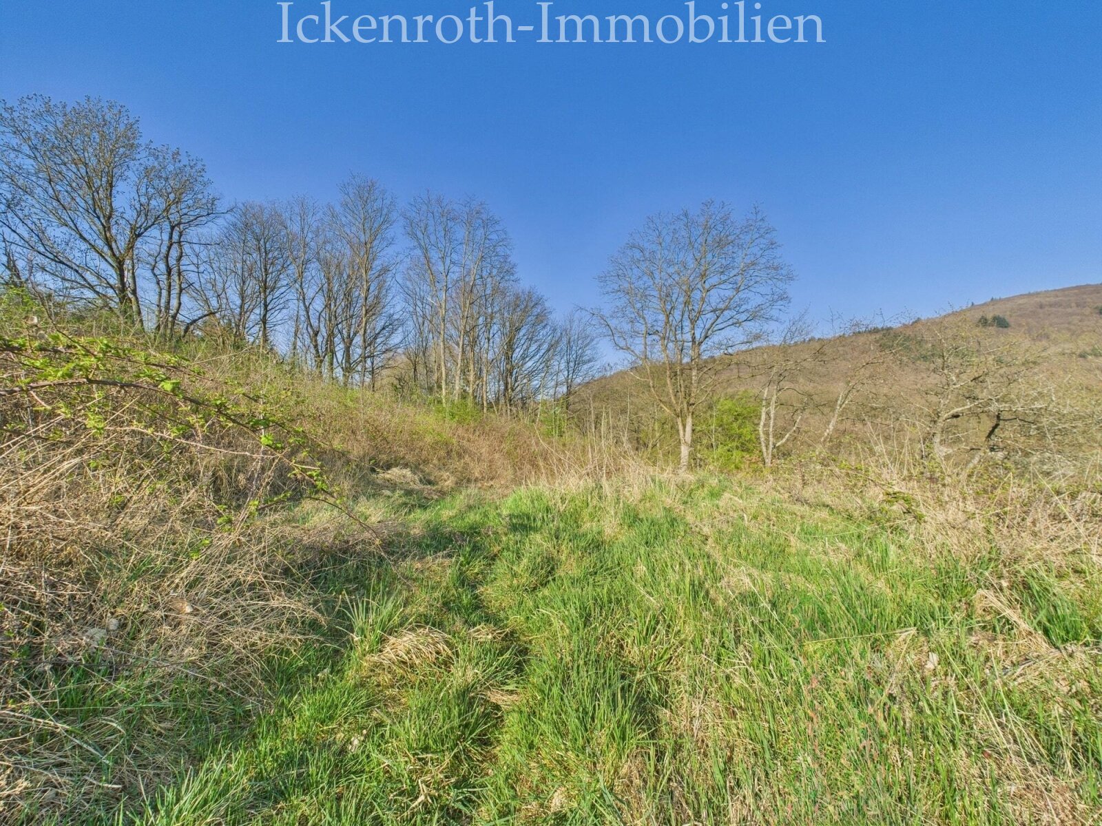 Grundstücksansicht 2-2 Grundstücksansicht 2-2